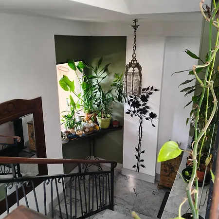 Greenhouse Apartment *